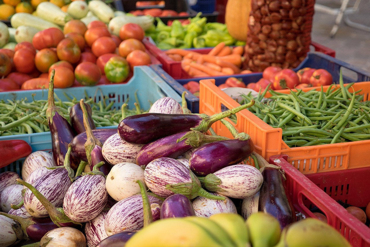 Best Tips for Growing Eggplant in Raised Beds